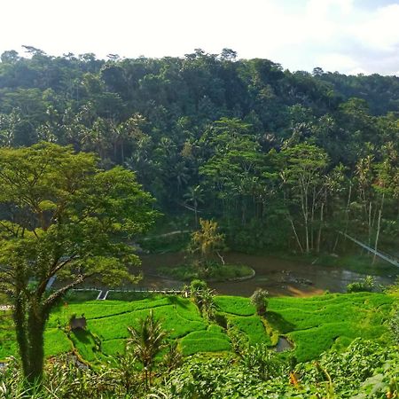 Puri Bunga Resort Ubud Exterior foto