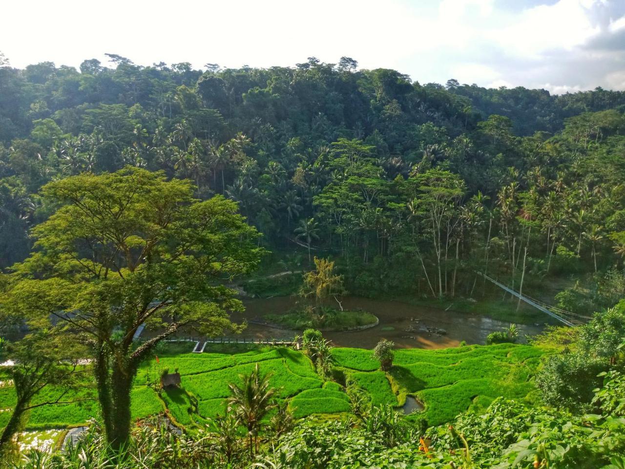 Puri Bunga Resort Ubud Exterior foto